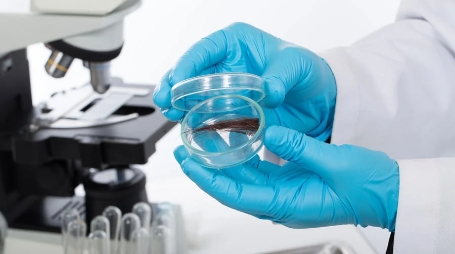 Hair follicle drug test