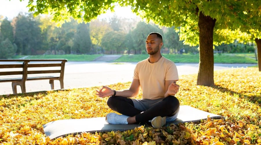 The Eightfold Path - Mindfulness meditation