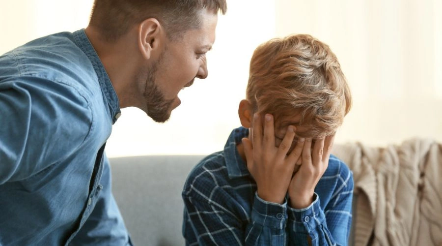 Emotional Abuse In a Child Custody Situation
