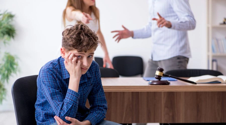 Supporting Evidence to Remove Legal Custody